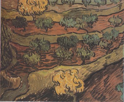Oliviers sur une colline - Vincent van Gogh